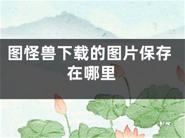 圖怪獸下載的圖片保存在哪里