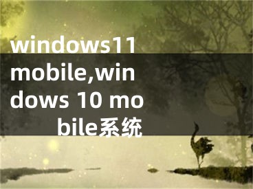 windows11 mobile,windows 10 mobile系統(tǒng)