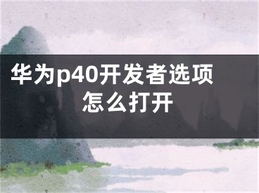 華為p40開發(fā)者選項怎么打開