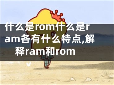 什么是rom什么是ram各有什么特點(diǎn),解釋ram和rom