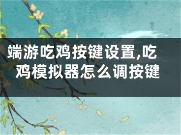 端游吃雞按鍵設(shè)置,吃雞模擬器怎么調(diào)按鍵