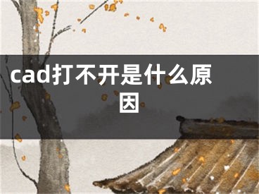 cad打不開是什么原因