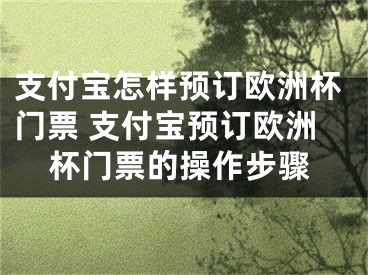 支付寶怎樣預訂歐洲杯門票 支付寶預訂歐洲杯門票的操作步驟