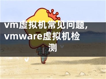 vm虛擬機(jī)常見(jiàn)問(wèn)題,vmware虛擬機(jī)檢測(cè)