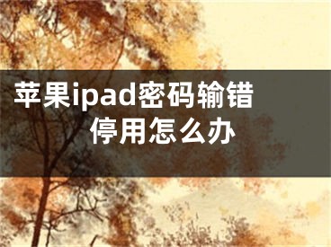 蘋果ipad密碼輸錯停用怎么辦