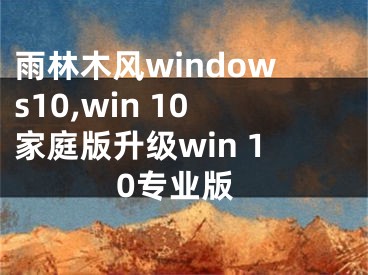 雨林木風(fēng)windows10,win 10家庭版升級win 10專業(yè)版