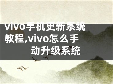 vivo手機(jī)更新系統(tǒng)教程,vivo怎么手動(dòng)升級(jí)系統(tǒng)