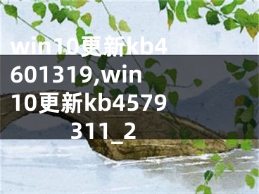 win10更新kb4601319,win10更新kb4579311_2