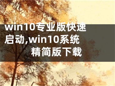 win10專業(yè)版快速啟動(dòng),win10系統(tǒng)精簡(jiǎn)版下載