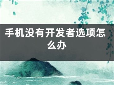 手機(jī)沒有開發(fā)者選項(xiàng)怎么辦