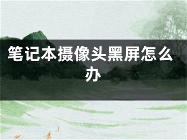 筆記本攝像頭黑屏怎么辦