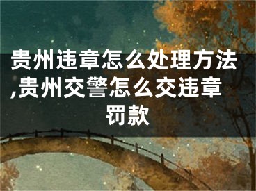 貴州違章怎么處理方法,貴州交警怎么交違章罰款