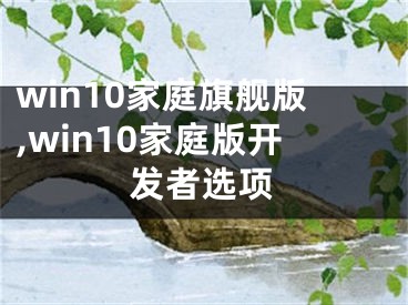 win10家庭旗艦版,win10家庭版開發(fā)者選項