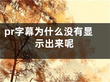 pr字幕為什么沒(méi)有顯示出來(lái)呢