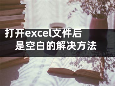 打開(kāi)excel文件后是空白的解決方法