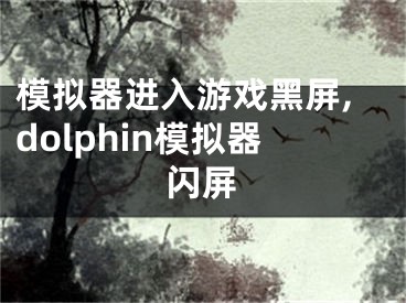 模擬器進入游戲黑屏,dolphin模擬器閃屏