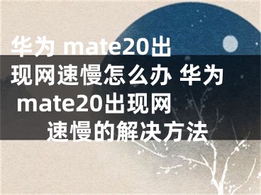 華為 mate20出現(xiàn)網(wǎng)速慢怎么辦 華為 mate20出現(xiàn)網(wǎng)速慢的解決方法