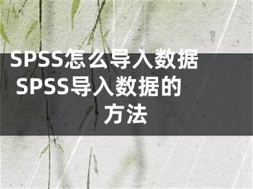 SPSS怎么導入數(shù)據(jù) SPSS導入數(shù)據(jù)的方法