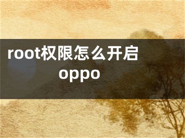 root權(quán)限怎么開啟oppo