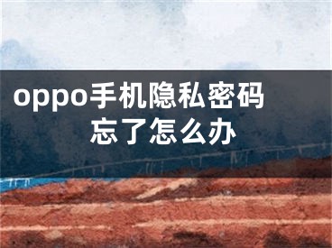 oppo手機隱私密碼忘了怎么辦