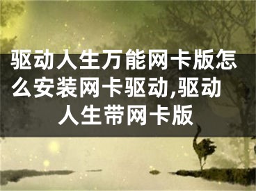 驅(qū)動人生萬能網(wǎng)卡版怎么安裝網(wǎng)卡驅(qū)動,驅(qū)動人生帶網(wǎng)卡版