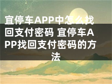 宜停車APP中怎么找回支付密碼 宜停車APP找回支付密碼的方法