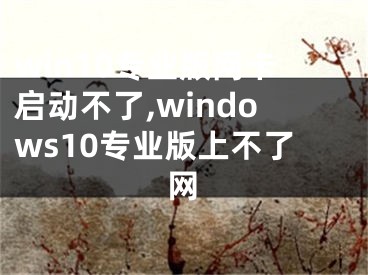 win10專業(yè)版網(wǎng)卡啟動不了,windows10專業(yè)版上不了網(wǎng)