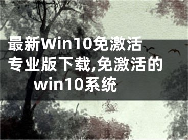 最新Win10免激活專業(yè)版下載,免激活的win10系統(tǒng)