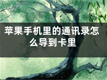 蘋果手機里的通訊錄怎么導(dǎo)到卡里