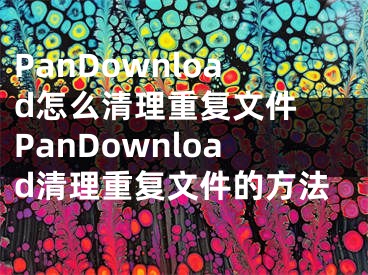 PanDownload怎么清理重復(fù)文件 PanDownload清理重復(fù)文件的方法