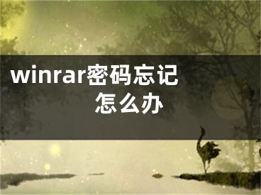 winrar密碼忘記怎么辦