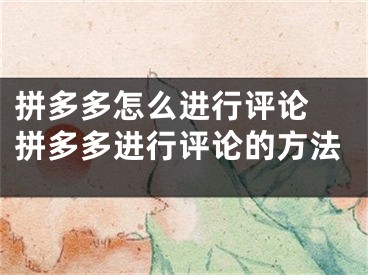 拼多多怎么進(jìn)行評論 拼多多進(jìn)行評論的方法