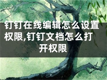 釘釘在線編輯怎么設(shè)置權(quán)限,釘釘文檔怎么打開權(quán)限