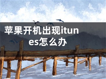 蘋果開機出現(xiàn)itunes怎么辦