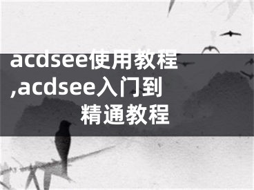 acdsee使用教程,acdsee入門到精通教程