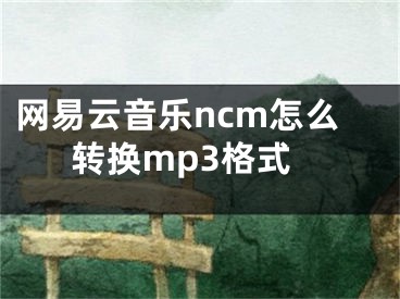 網(wǎng)易云音樂(lè)ncm怎么轉(zhuǎn)換mp3格式