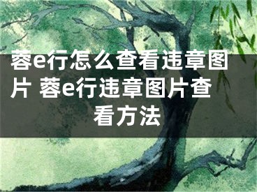 蓉e行怎么查看違章圖片 蓉e行違章圖片查看方法