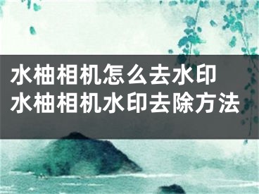 水柚相機怎么去水印 水柚相機水印去除方法