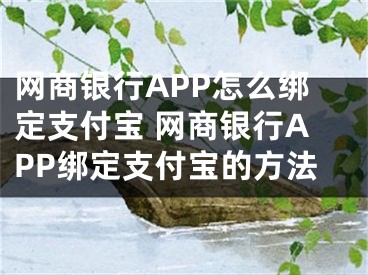 網(wǎng)商銀行APP怎么綁定支付寶 網(wǎng)商銀行APP綁定支付寶的方法