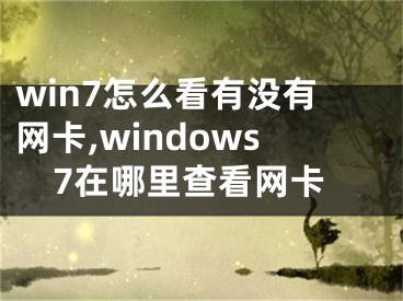 win7怎么看有沒有網(wǎng)卡,windows7在哪里查看網(wǎng)卡