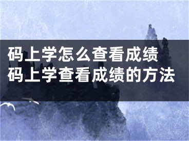 碼上學(xué)怎么查看成績 碼上學(xué)查看成績的方法