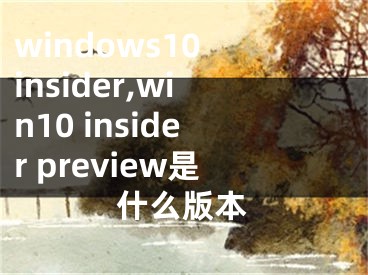 windows10 insider,win10 insider preview是什么版本