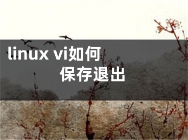 linux vi如何保存退出