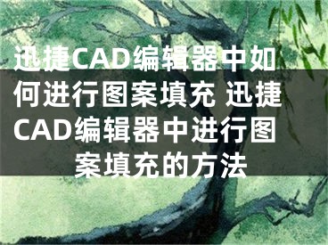 迅捷CAD編輯器中如何進(jìn)行圖案填充 迅捷CAD編輯器中進(jìn)行圖案填充的方法