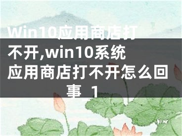 Win10應(yīng)用商店打不開(kāi),win10系統(tǒng)應(yīng)用商店打不開(kāi)怎么回事_1