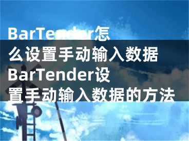 BarTender怎么設(shè)置手動輸入數(shù)據(jù) BarTender設(shè)置手動輸入數(shù)據(jù)的方法