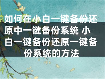 如何在小白一鍵備份還原中一鍵備份系統(tǒng) 小白一鍵備份還原一鍵備份系統(tǒng)的方法