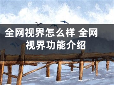 全網(wǎng)視界怎么樣 全網(wǎng)視界功能介紹