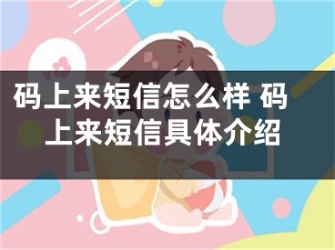 碼上來短信怎么樣 碼上來短信具體介紹