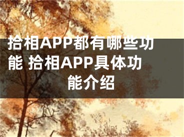 拾相APP都有哪些功能 拾相APP具體功能介紹